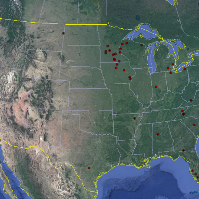 Stberolinensis  Usgsbiodata