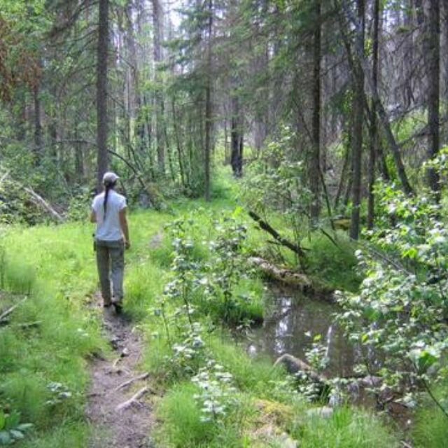 Spring Pool On Trail Between  Kintla  Lakes