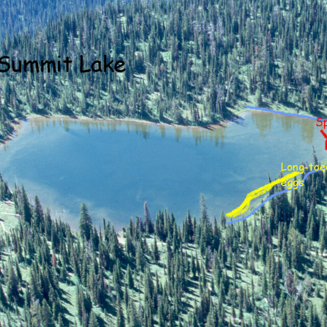 Summit  Lake  General