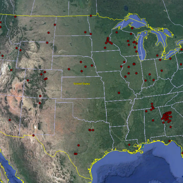 Uldelicatissima  Lower48