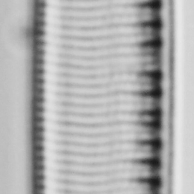 Nitzschia_heufleriana_LM6