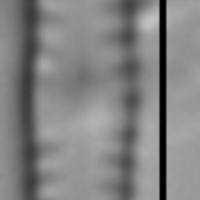 Chamaepinnularia soehrensis LM3