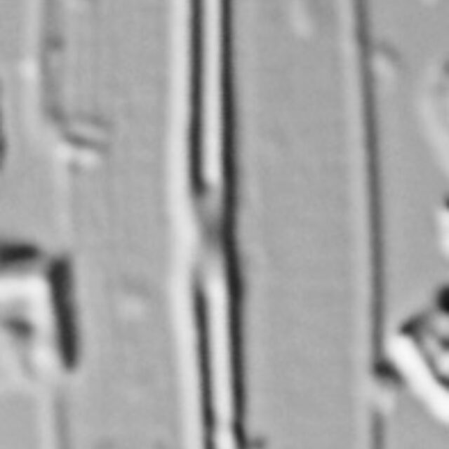 Frustulia pseudomagaliesmontana LM6