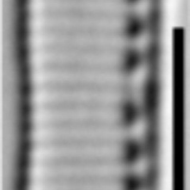 Nitzschia acidoclinata LM12