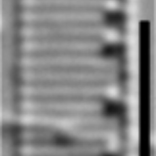 Nitzschia acidoclinata LM11