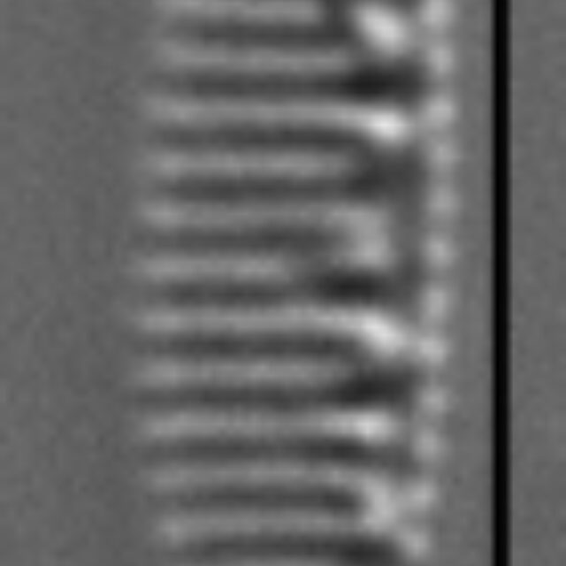 Nitzschia valdecostata LM3