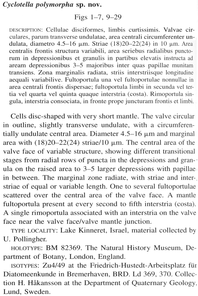 Cyclotella polymorpha orig descr