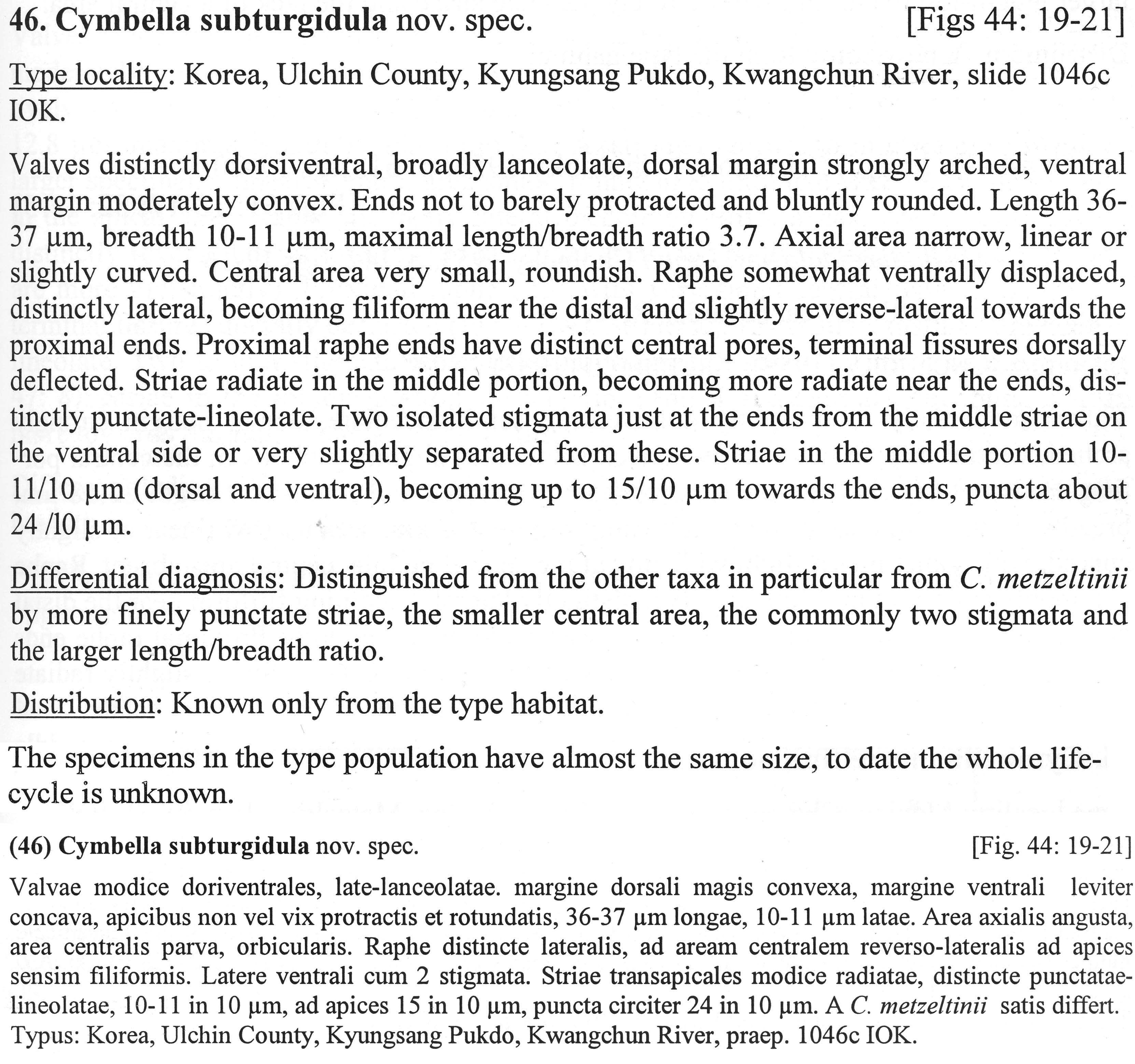 Cymbella Subturgidula  Descr