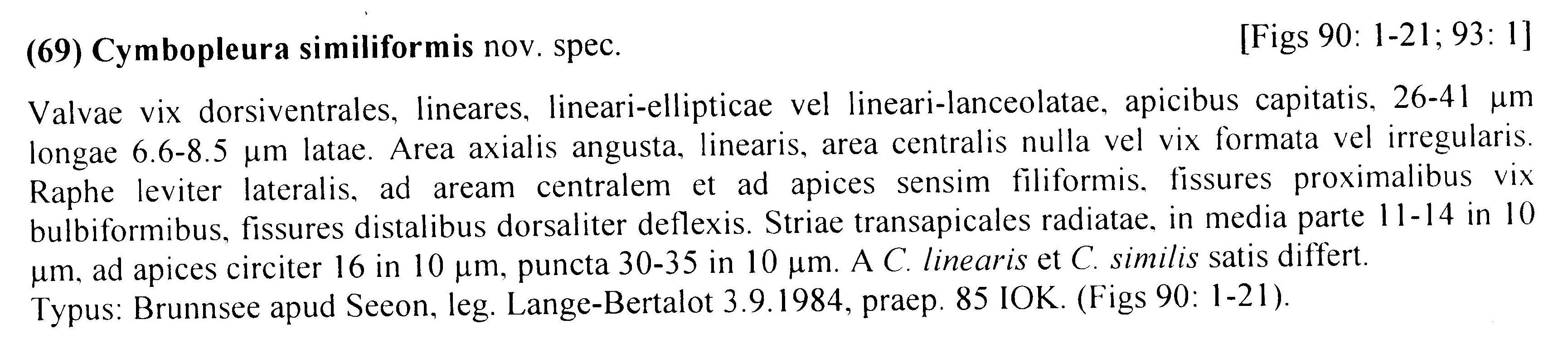 Cymbopleura similiformis orig descr