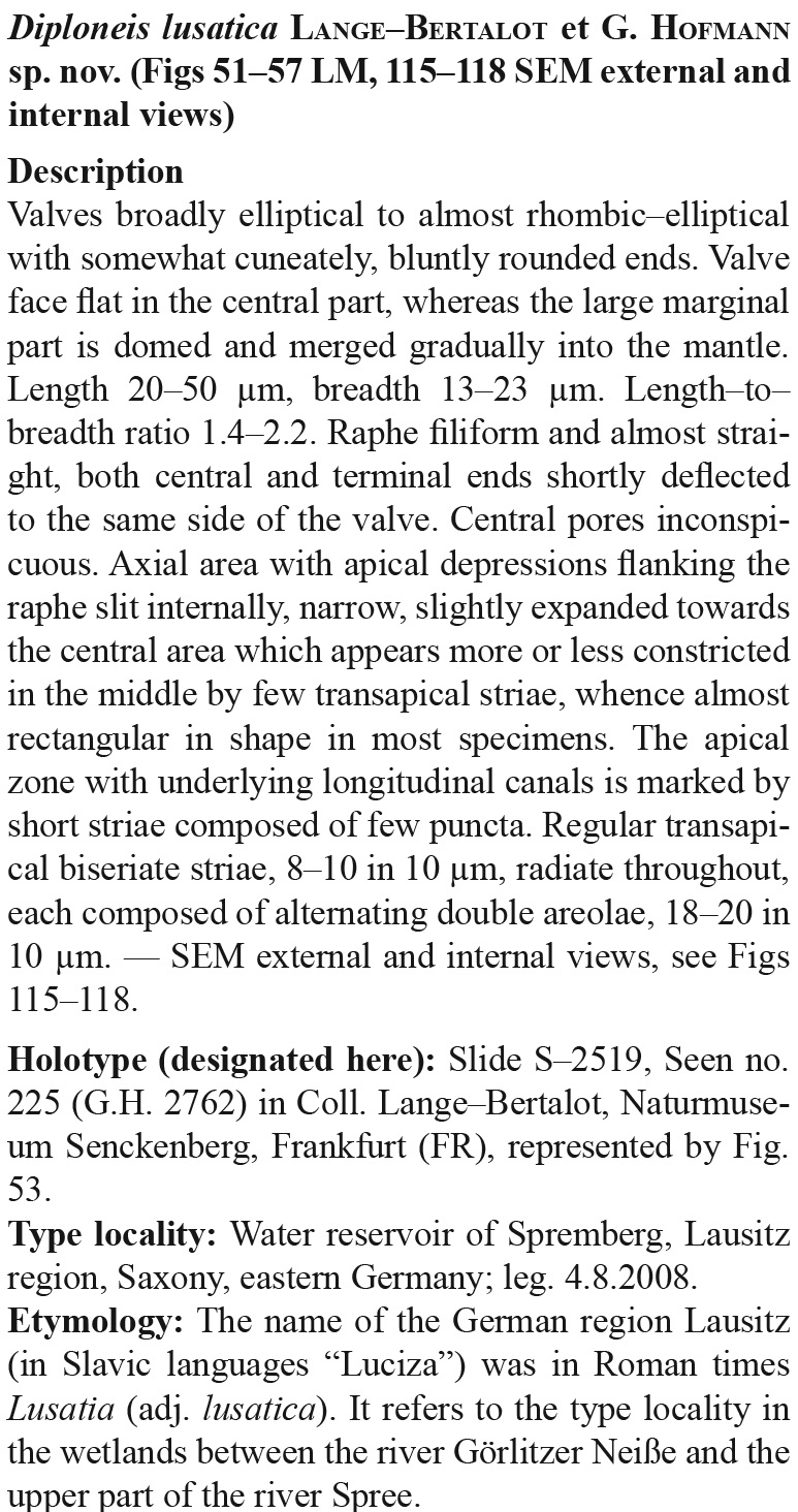 Diploneis lusatica Orig Desc