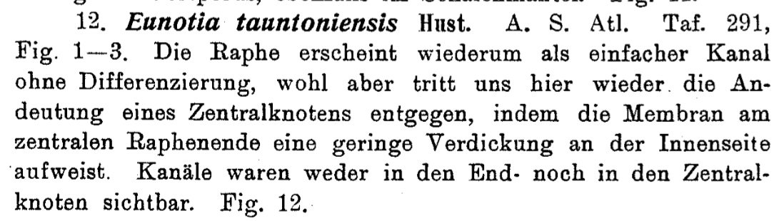 Eutaunt  Hustedt 1926 Text