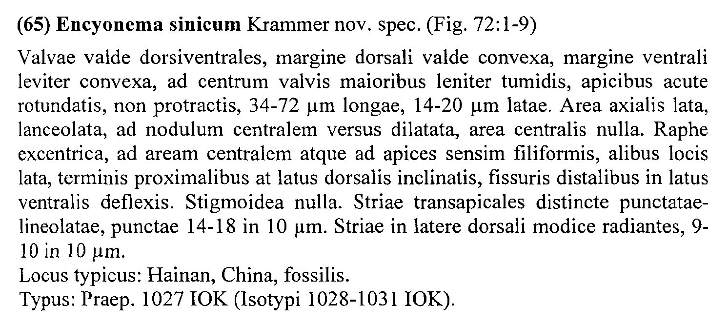 Encyonema Sinicum Origdesc001