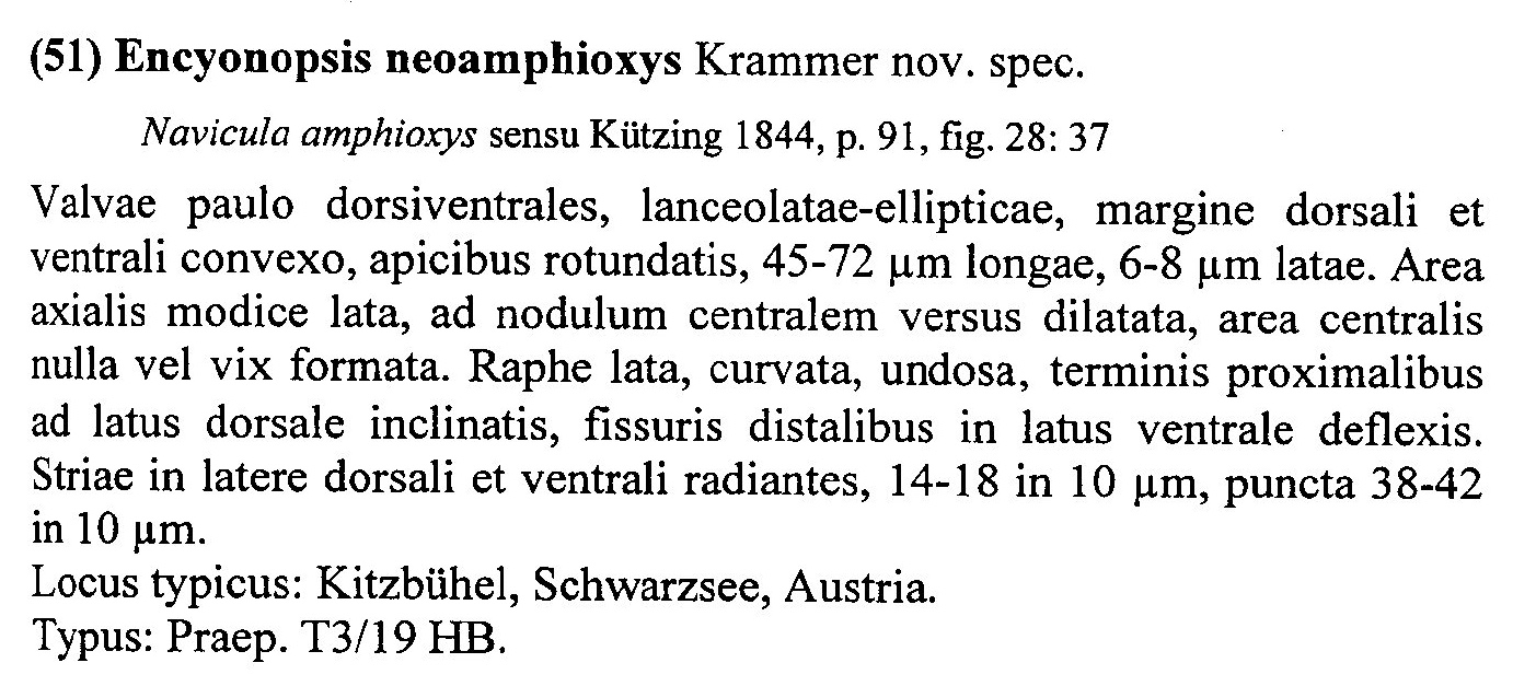 Encyonopsis Neoamphioxys Origdesc001