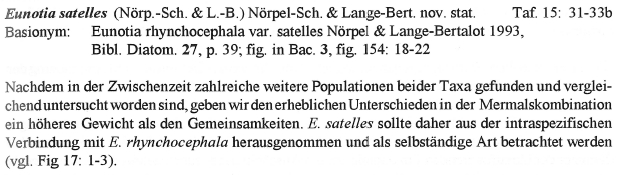 Eunotia Satelles  Orig Descr  Id2,p53 Text