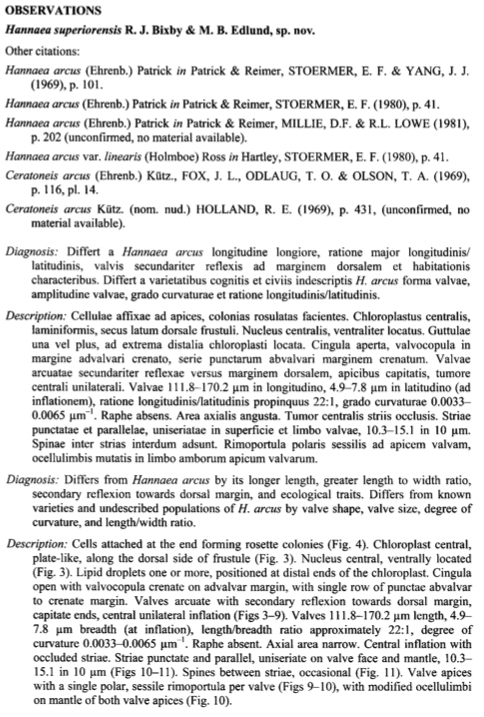 Hasperiorensis  Ortext 1