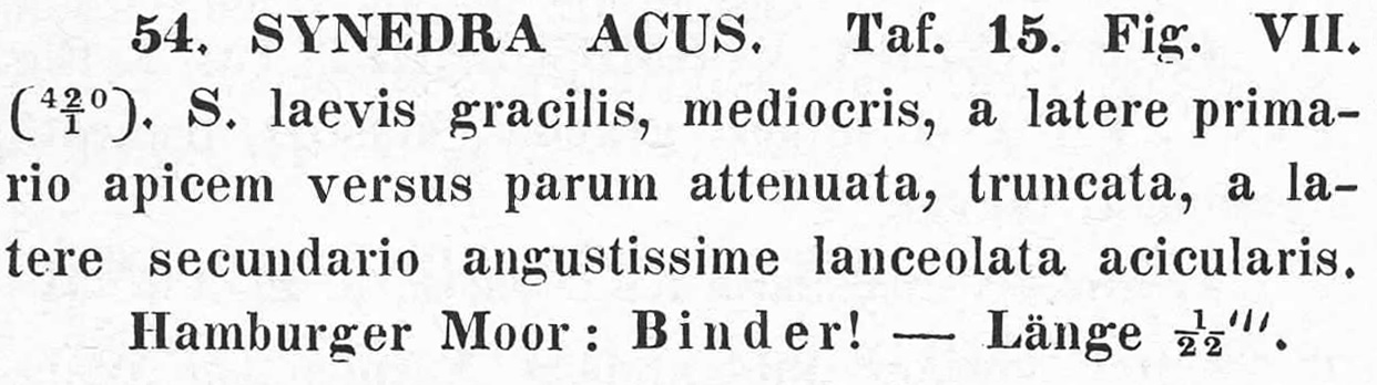 Kutzing 1844  Description