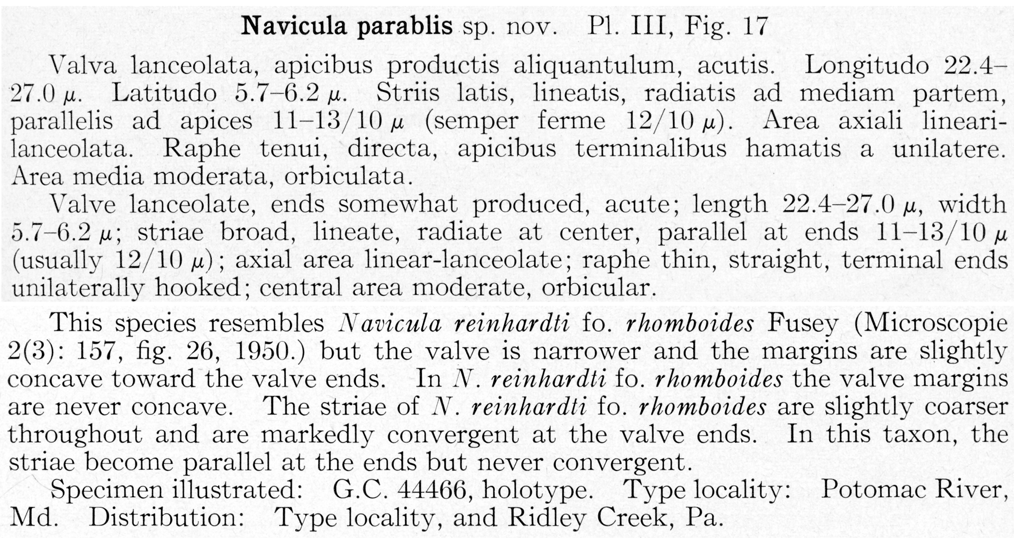 Naparablis  Or Descr