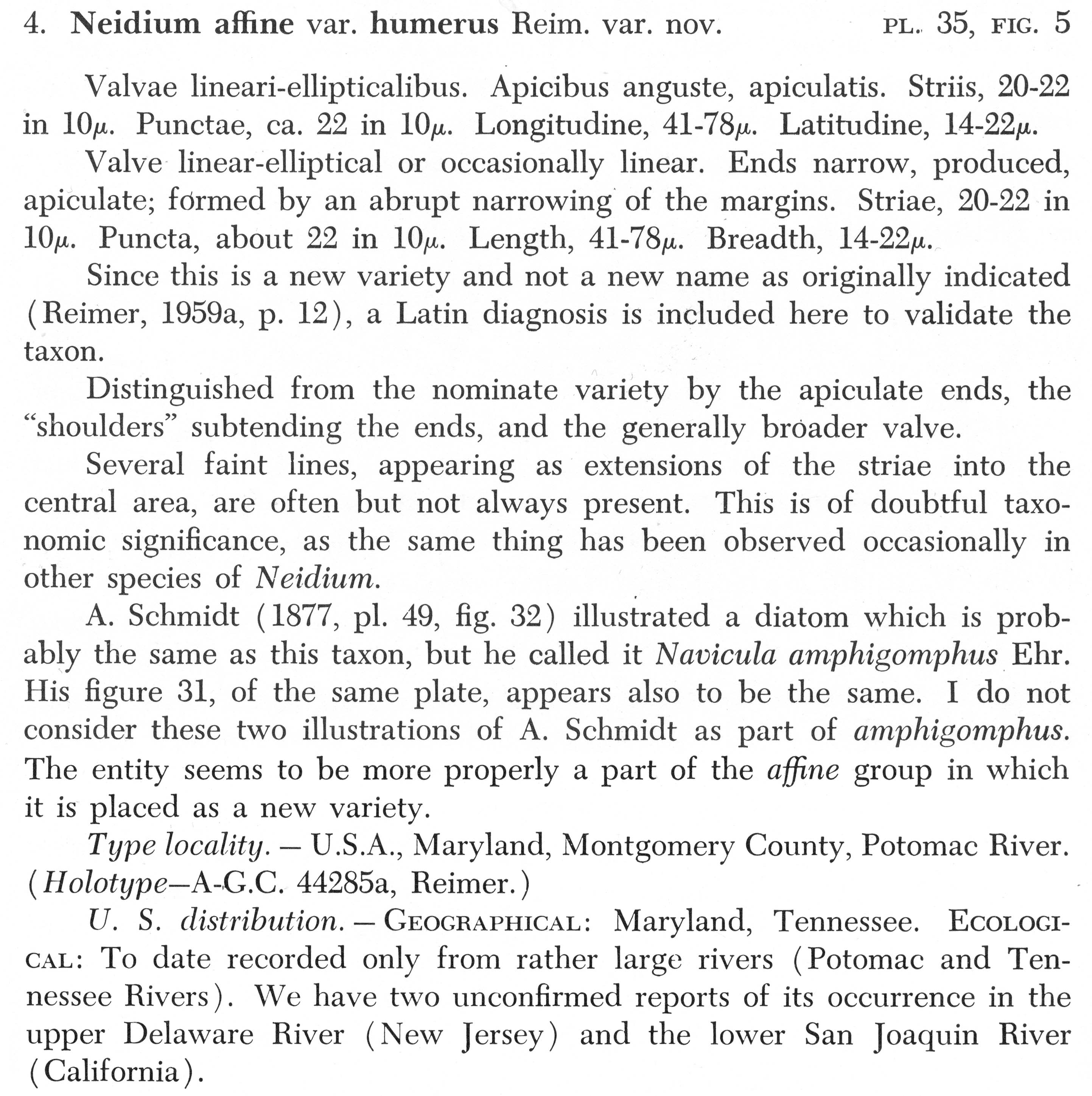 Naffine Humerus  Orig Descr