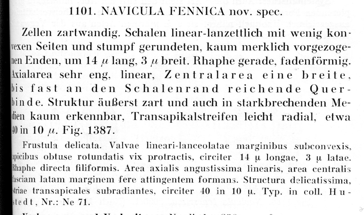 Navicula Fennica Text002