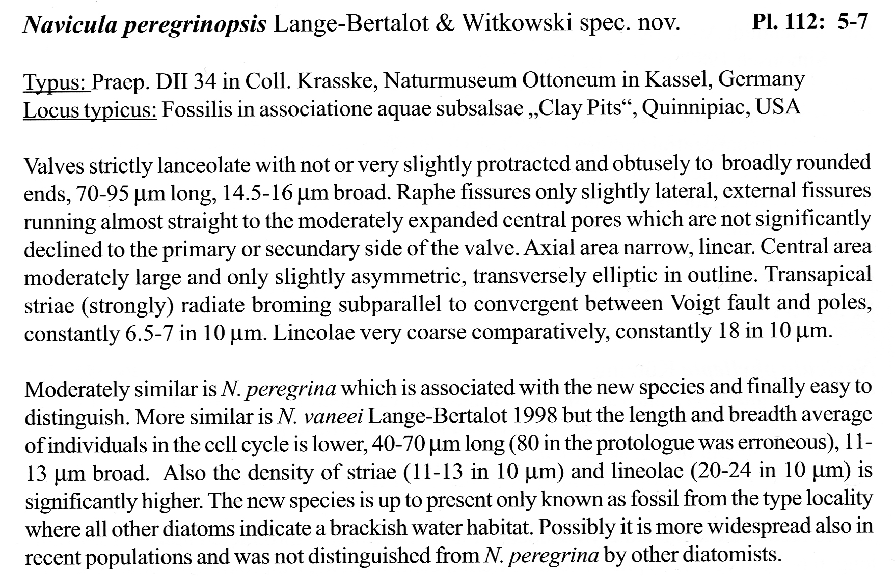 Navicula Peregrinopsis Orig001