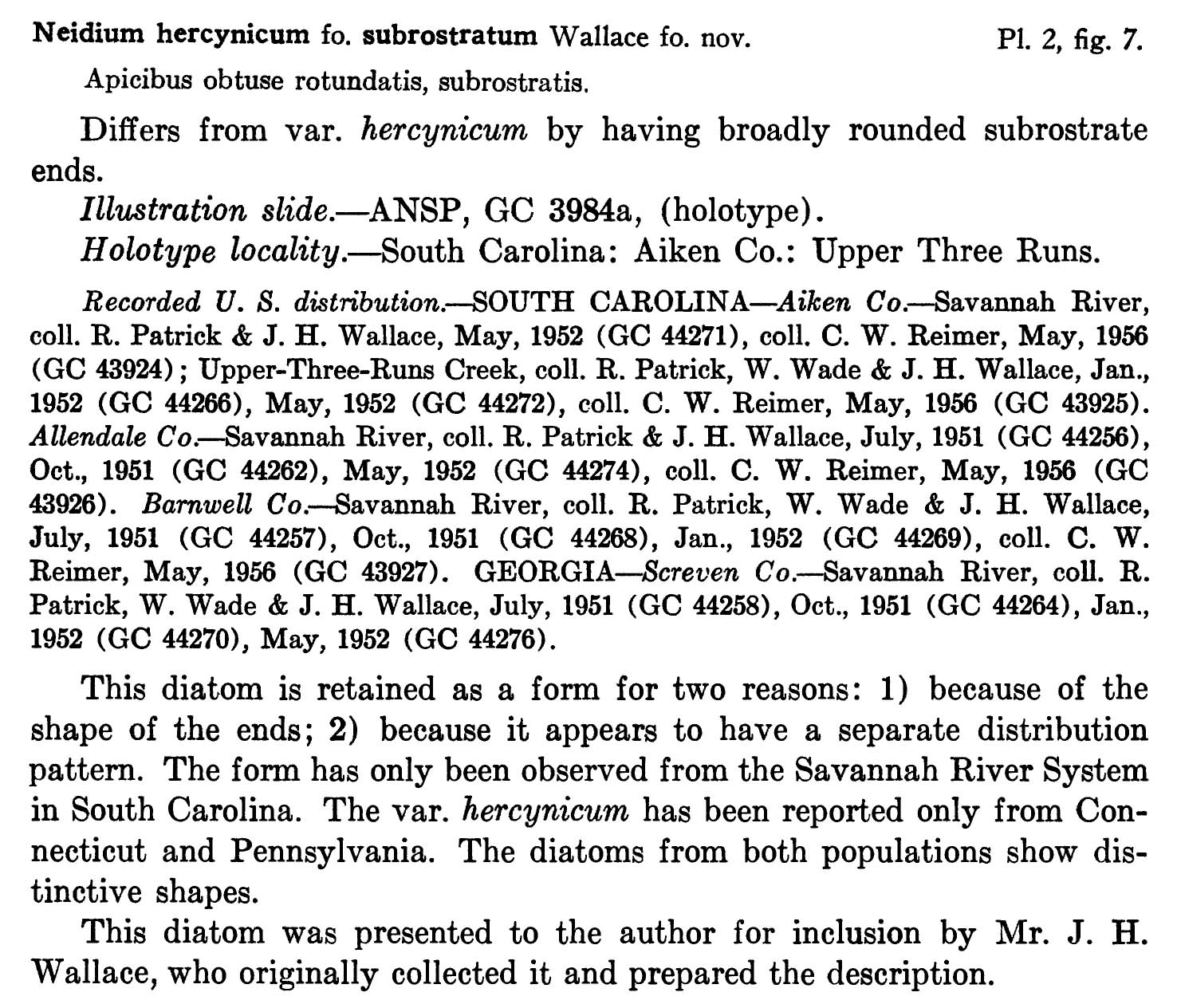 Nhercynicum Subrostratum  Orig Descr