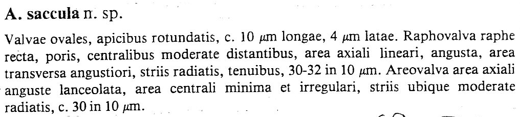 Psammothidium sacculum Orig Descr