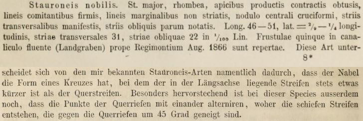 S nobilis Original description