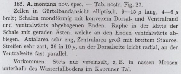 Krasske 1932 Text