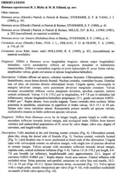 Hasperiorensis  Ortext 1