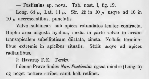 Nafusticulus Original Text