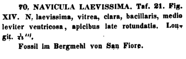 Nalaevissima Original Text