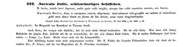 Navicula Follis Ehrenberg 1838 Text 1