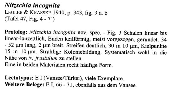 Nitzschia Incognita Origidesc001