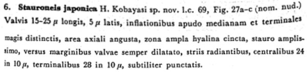 Sellaphora Japonica Orig Desc 1965 Text