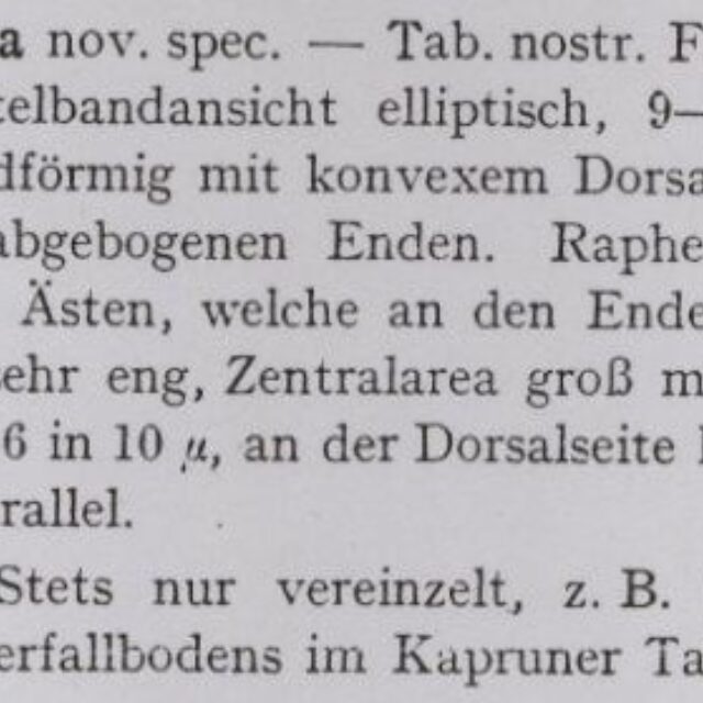 Krasske 1932 Text