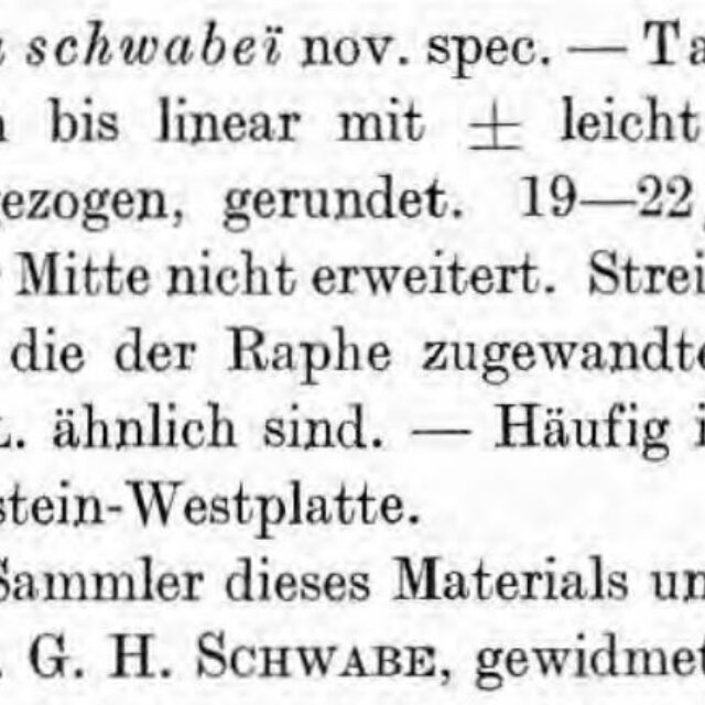 Krasske 1939 schwabei