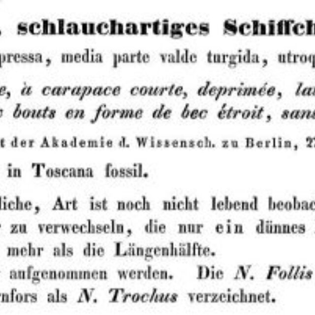 Navicula Follis Ehrenberg 1838 Text 1