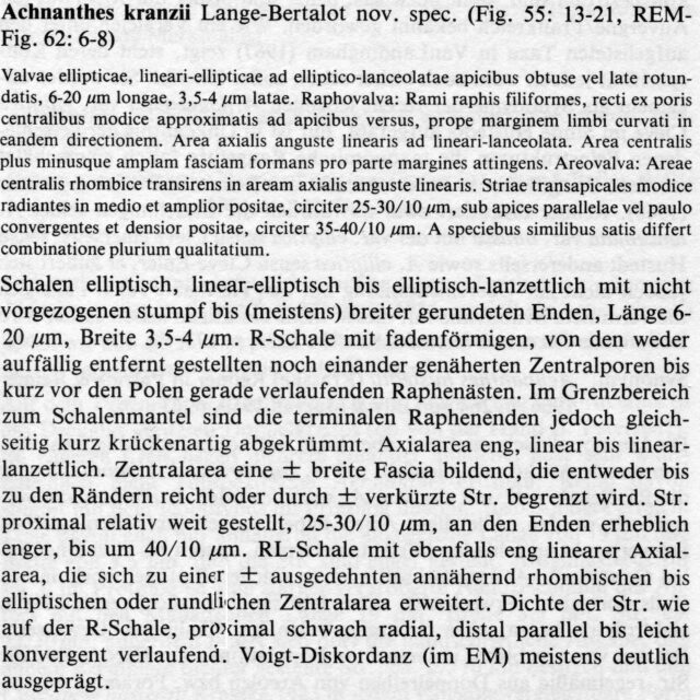 Achnanthes kranzii orig descr