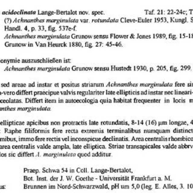 Achnanthes acidoclinata  orig descr
