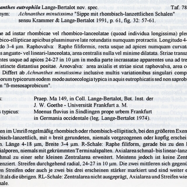 Achnanthes eutrophila orig descr