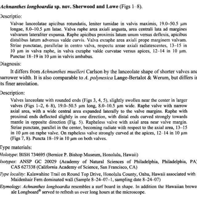 Achnanthes longboardia orig descr