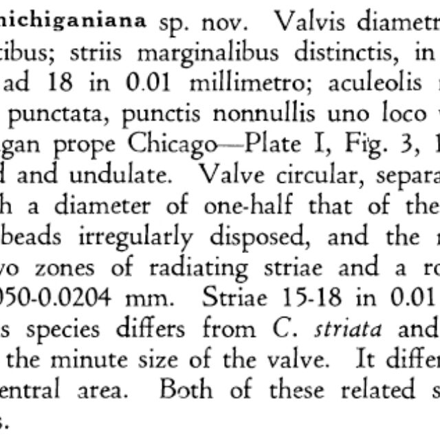 Cyclotella michiganiana orig descr