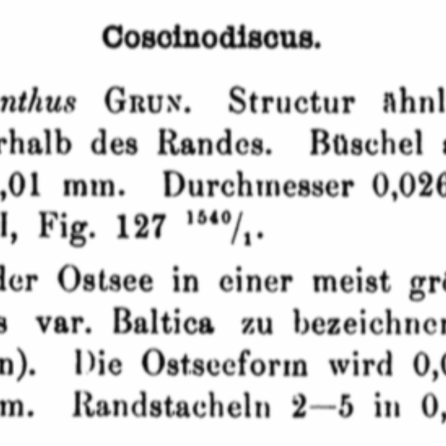 Coscinodiscus polyacanthus var. baltica orig descr