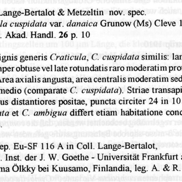 Craticula acidoclinata orig descr