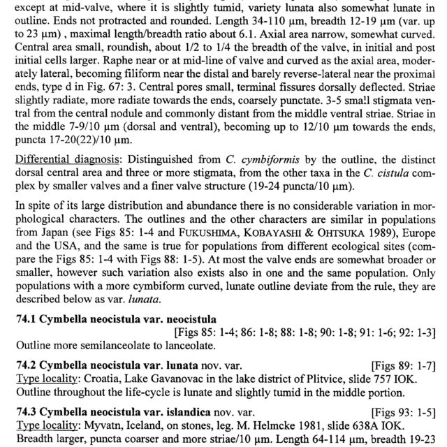 Cymbella neocistula var. islandica orig descr