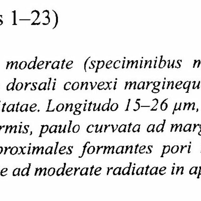 Encyo Neerlandica Origdesc002