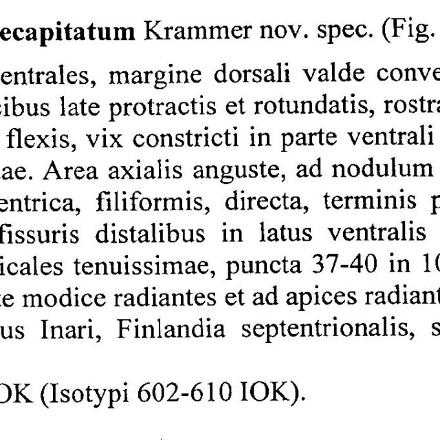 Encyonema Latecapitatum Origdesc001