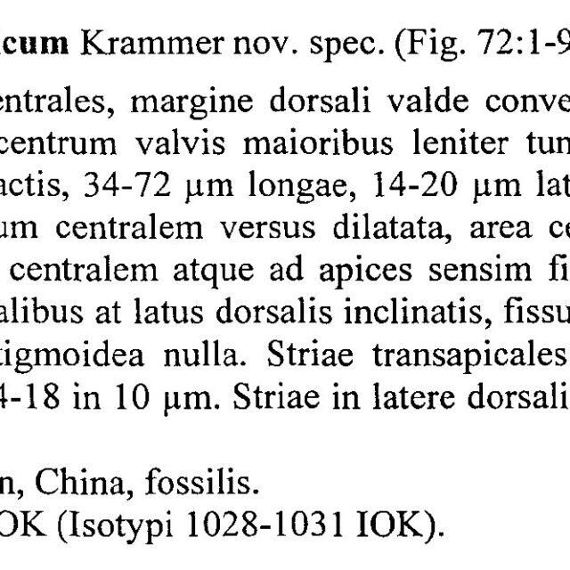 Encyonema Sinicum Origdesc001