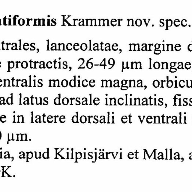 Encyonopsis Cesatiformis Origdesc001