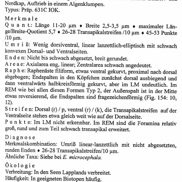 Encyonopsis Perborealis Origdesc024